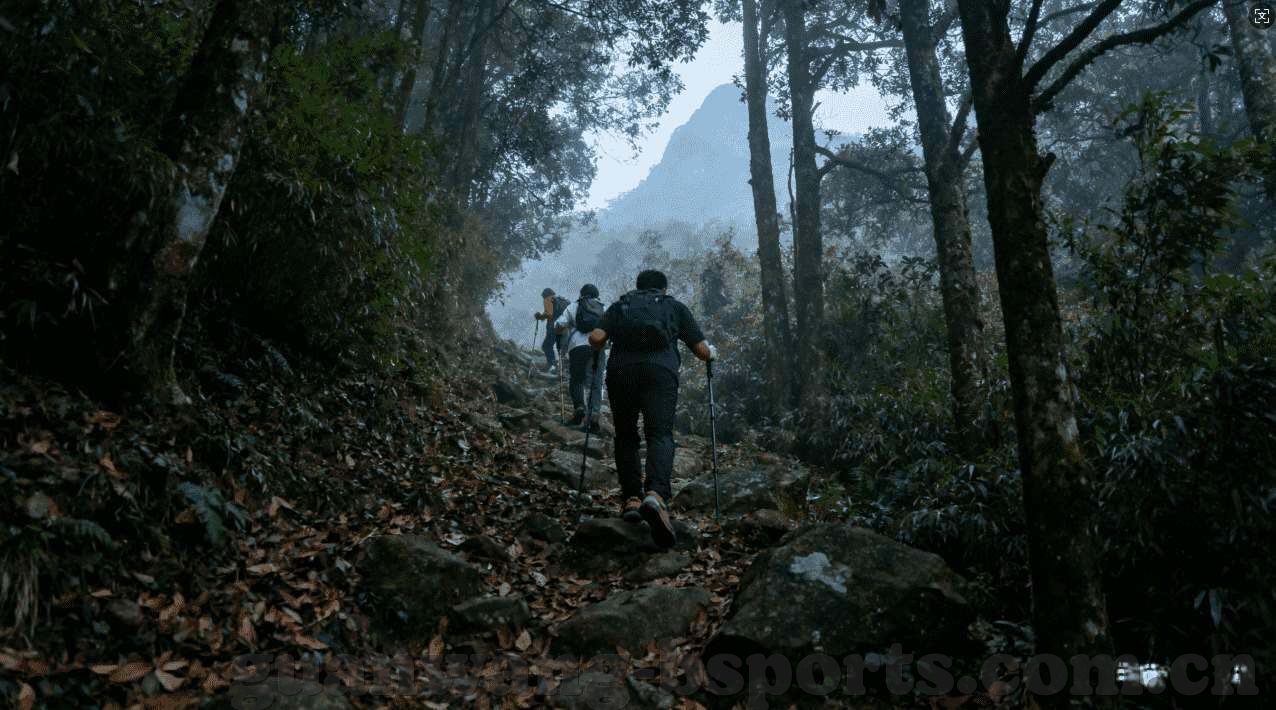 永盈彩票官网入口-警惕网络欺诈，探索永盈彩票官网入口背后的陷阱
